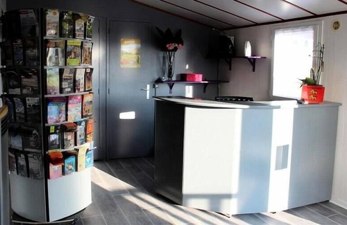 Balleroy House | Campsite Le Clos de Balleroy *** - Mobile Home Lodge 3 rooms 4 people