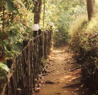Devikolam Other | Camptop Munnar