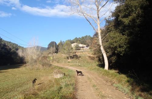 Sant Pere de Vilamajor Apartment | Can Parròquia