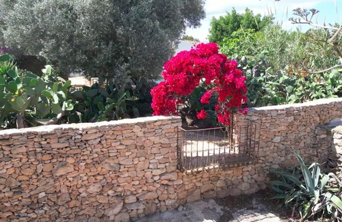 Es Cap de Barbaria Cottage | Can Toni Platera