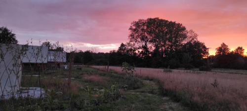 Le Fay Other | Canadienne