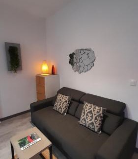 Ponts Jumeaux Apartment | Canal du Midi