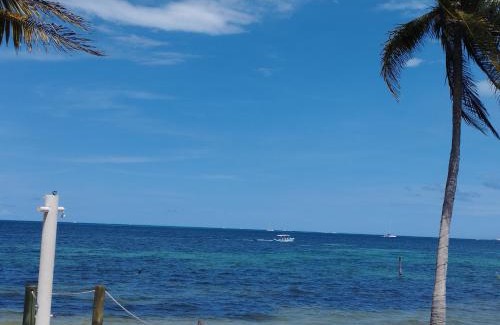 Puerto Juarez Bed & Breakfast | Cancun Ocean View FLAMINGO PLUS