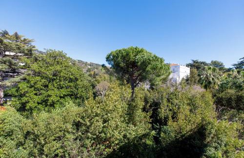 California - Pezou Apartment | Cannes Californie, Calm, AC, terrace, swimming pools, tennis