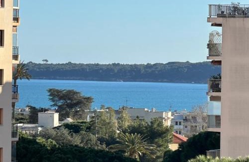 California - Pezou Apartment | Cannes vue mer