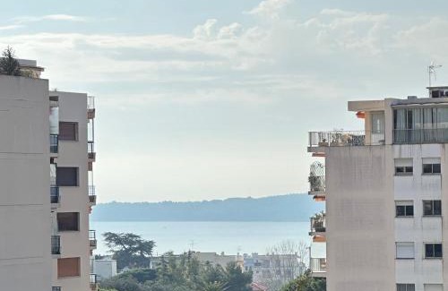California - Pezou Apartment | Cannes vue mer