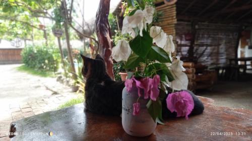 Canoa Hotel | Canoamar