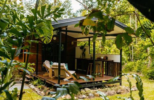Cape Tribulation Bed & Breakfast | Cape Trib Farm