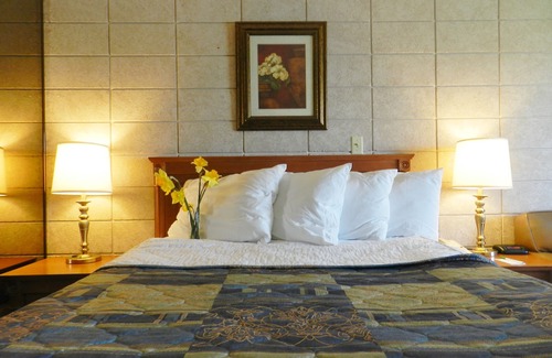 York - Haig Hotel | Capri Inn