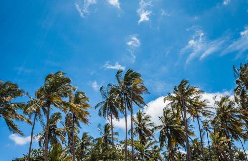 Pangani Cabin | Capricorn Beach Cottages