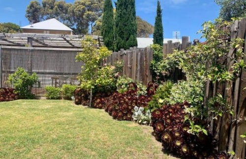 Waterhouse House | Captain Jones