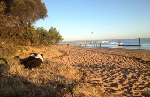 Rhyll Cottage | Captain Lock's Cottage(featured on 'Postcards') Open Fireplace and Pet Friendly
