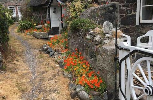 Cadgwith House | Captain's Cabin