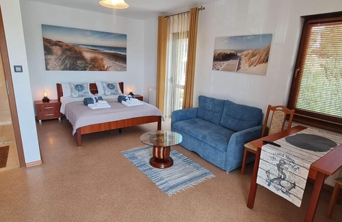 Dzielnica Uzdrowiskowa House | Captain's Villa * River View * Superior Double Room with Private Bathroom and Balcony