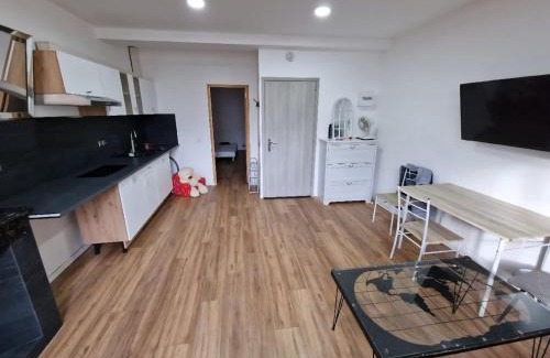Bastide Saint-Louis Apartment | Carcassonne