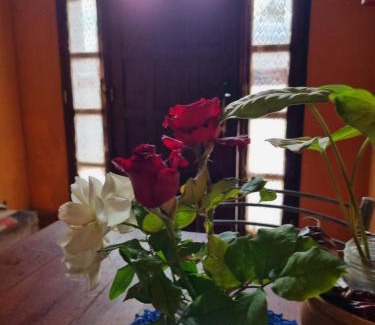 Molinos Bed & Breakfast | Cardones de Molinos
