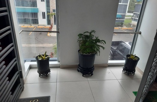 Punal Apartment | Caribbean Dreams Apartement Beautiful Pool and Gym