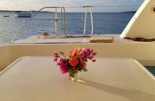 Charlotte Amalie Boat Rental | Caribbean vacation, safe and comfortable catamaran.