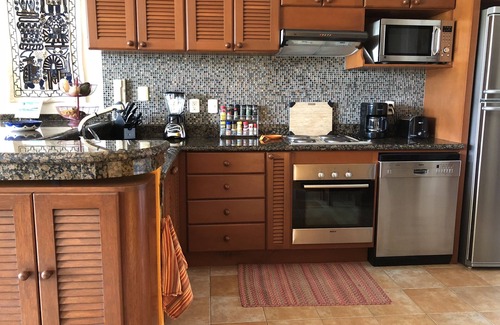 Costa Maya Condo | Caribbean Beachfront Ground Level Condo
