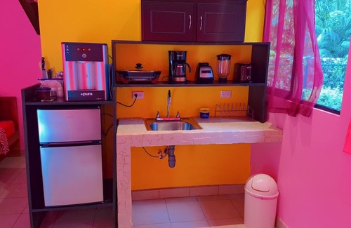 Cahuita Apartment | Caribbean Blue Morpho