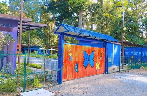 Cahuita Apartment | Caribbean Blue Morpho