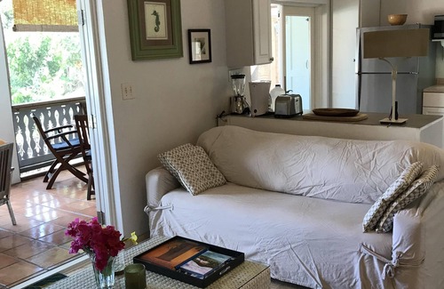 Estate Carolina Apartment | Caribbean Charmer on the Harbor *Strong WIFI*