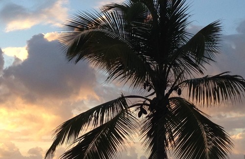 Nazareth Condo | Caribbean Paradise Romantic Oceanfront Condominium