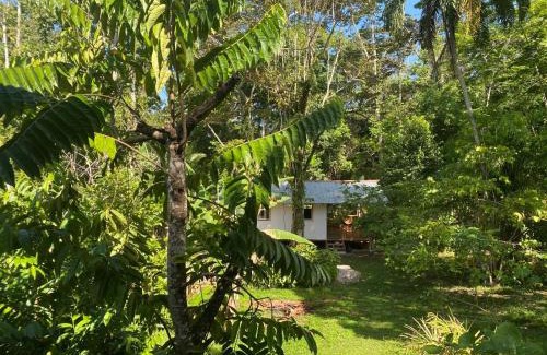 Cocles House | Caribbean Retreats