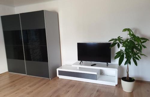 Kandern Apartment | Carina Apartment