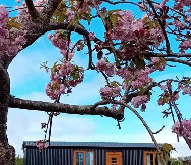 Dundalk Apartment | Carlingford Glamping Hut