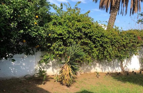 La Soukra House | Carmela