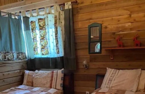 Beaverdell Cabin | Carmi Station Comfy Cabin