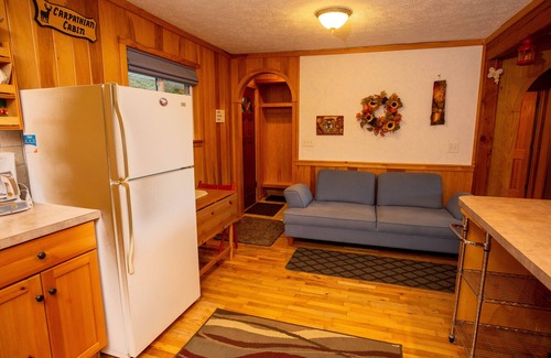 Panorama Estates Cabin | Carpathian Cabin-Blowing Rock-Boone-Long Range View-Tweetsie,Hike,Relax,Meditate