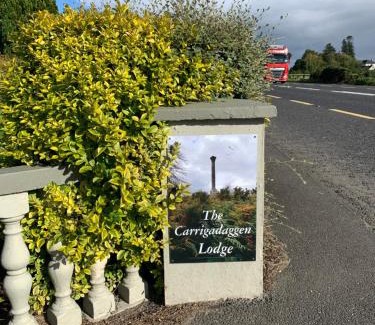 Ballinaboola Apartment | Carrigadaggen Lodge 2 king bed Apartment - Spacious & Comfy!