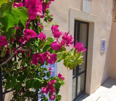 Es Llombards House | CASA 3 LEONES - Stadthaus im Fincastil mit Longpool, Patio, Garten