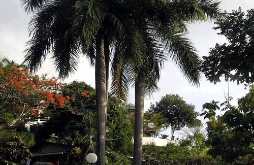 Manuel Antonio Villa | Casa 3 Palmas- Private Villa w/Pool, n