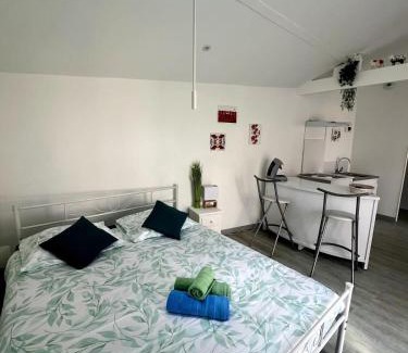 Brive-la-Gaillarde Apartment | Casa 4 Saisons - Studio à thème - PiscineJardin - Proche centre-ville