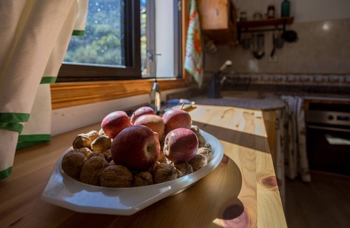 La Solana Ski Chalet | Casa Abuela - House in the countryside with pool