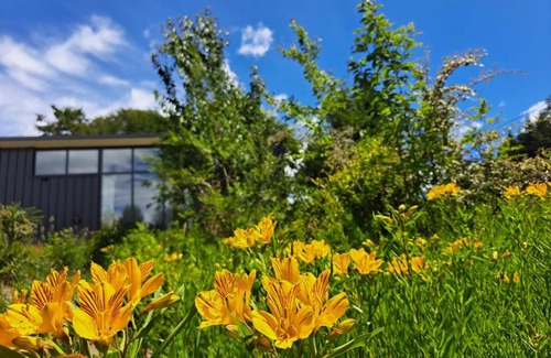 San Carlos de Bariloche House | Casa Amancay