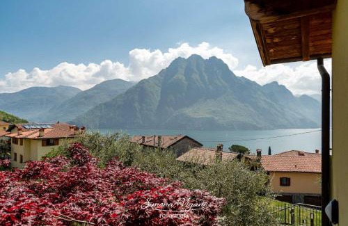 Zorzino Apartment | Casa Aria