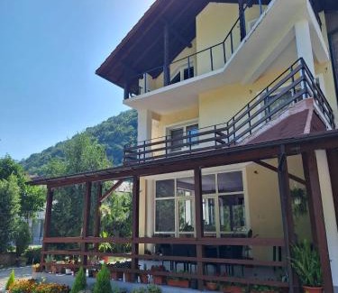 Baile Herculane House | Casa Astoria