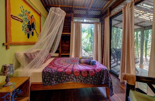 Manzanillo House | Casa Auratus Exotic Jungle House