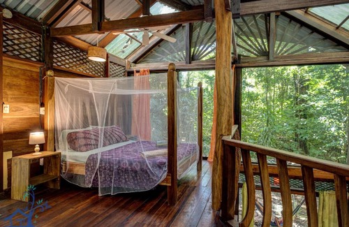 Manzanillo House | Casa Auratus Exotic Jungle House