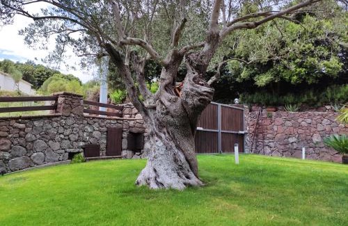 Dorgali House | Casa Bados