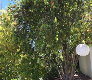 Alhaurin el Grande Bed & Breakfast | Casa Baliza, adults only