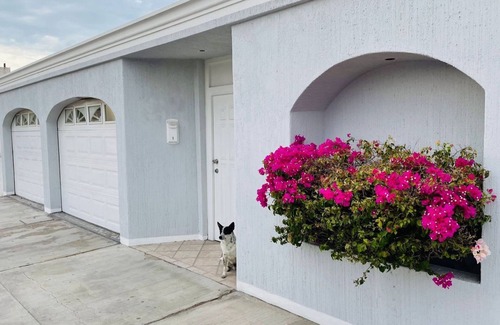 La Paz House | CASA BELUGA, Private home in the HEART of Downtown La Paz