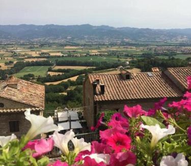 Santa Reparata Apartment | Casa Belvedere