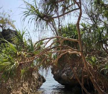 Alaminos Cabin | CASA BOLO IN ALAMINOS with HIDDEN WHITE BEACH near 100 Islands