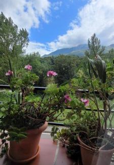 Cabrales House | Casa Cabrales