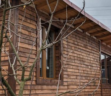 Lupeni House | Casa CeDar